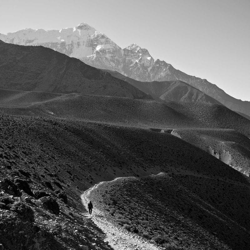 Pixel 7 with GrapheneOS